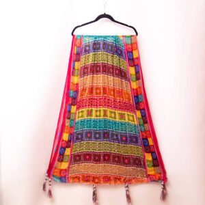 DesiWear Multi-Color Chunri Phulkari Dupatta